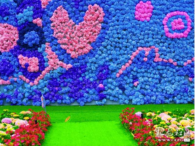 山之顶云之海花之田