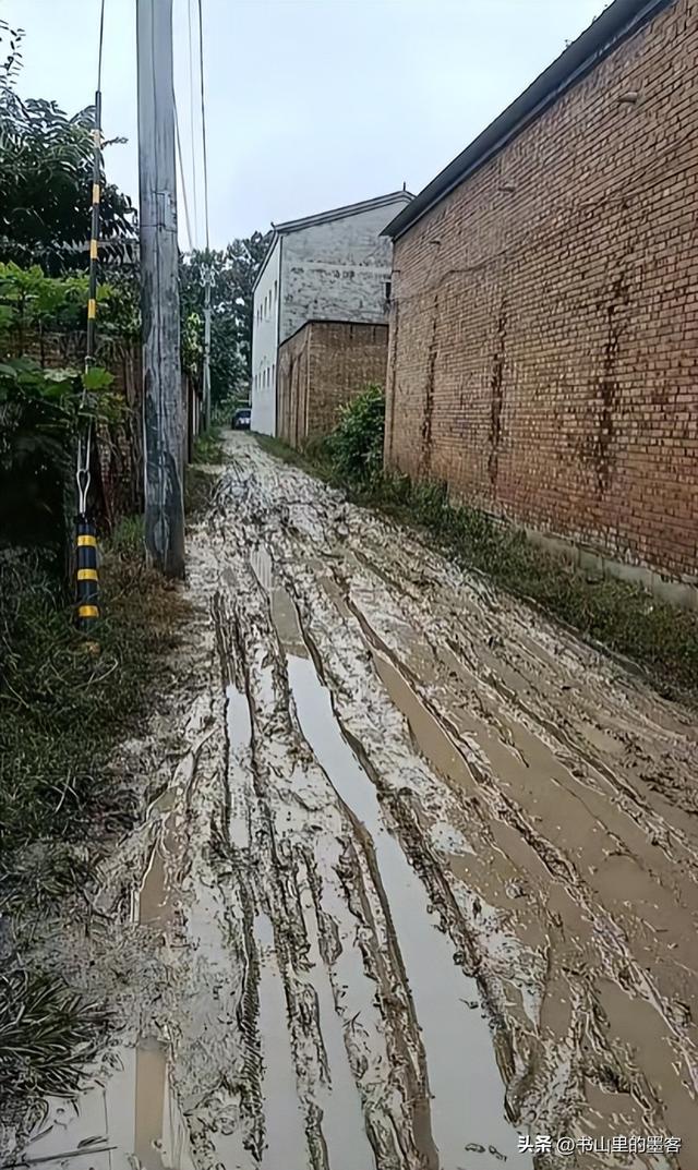 老人破坏水泥路面后续：民警走了又挖，村干部曝内情，子女被牵连