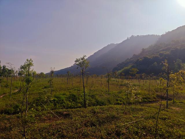 塘朗山郊野公园火车道口与绿平二路段，爬坡酸爽，骑友的天堂