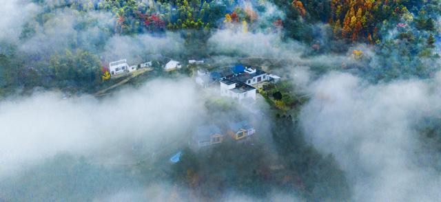 2025岳阳暑期旅游热评榜