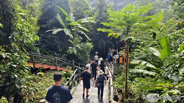 壮美广西.多彩边关2：邂逅靖西历史文化与自然奇景的心灵之旅