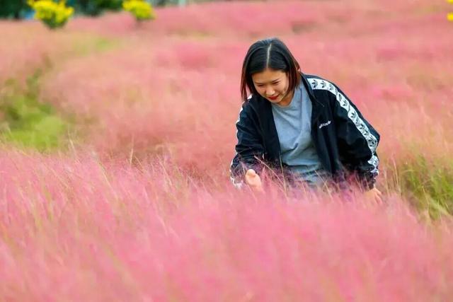 田曦薇、胡一天打卡西海岸！约你来玩！