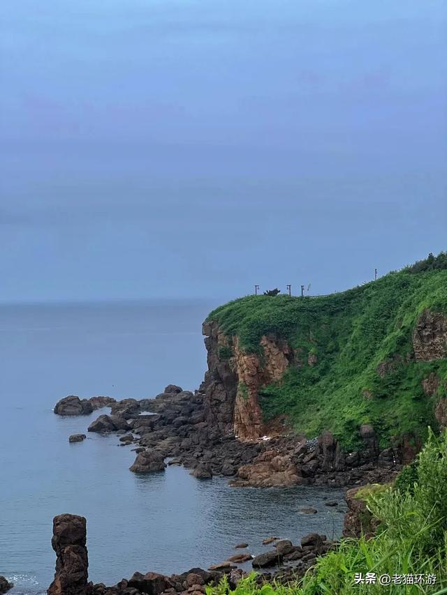 盛夏只有25℃的海边小城,高铁1.5小时直达,人均800元3天吃海鲜
