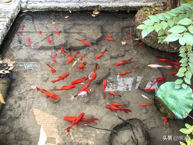 济南哪里最江南？