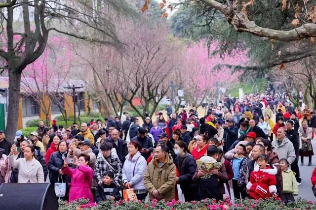 125.97万人次打卡，揽金8.58亿元！郫都区文旅市场“马”力全开