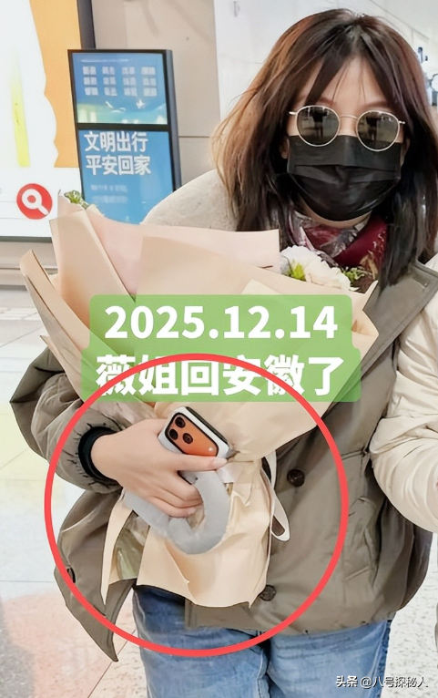 落地凤凰不如鸡！赵薇回老家探亲，全副武装包裹，不敢露脸怕见人