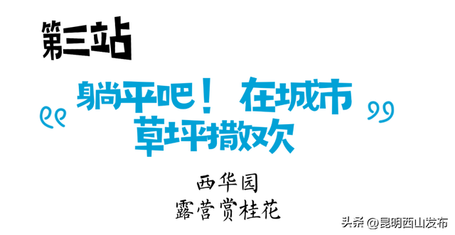 别猜了！昆明潮人的周末朋友圈，都被西山区承包了！