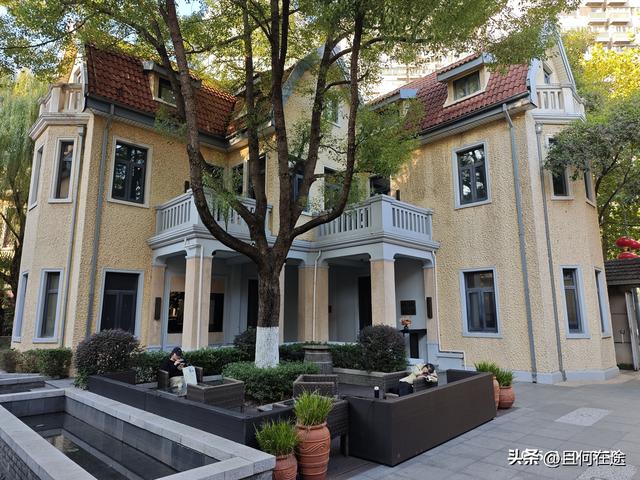 南京“丑萌”梧桐C位出道！颐和路半天游，把民国浪漫拍成表情包