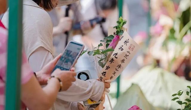 绝对“顶流”！这周末，苏州专门为TA过生日...