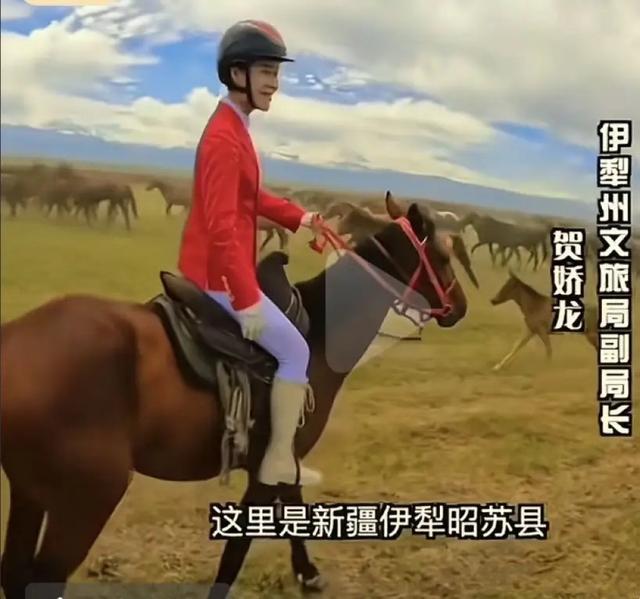 贺娇龙身亡细节曝光：马受惊尥蹶子	，蹄踢到她头部，此前疑有征兆