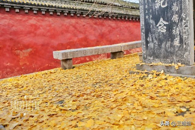 冬日少林寺 寂寞禅静能否
