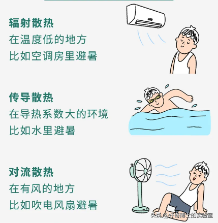 一热就出汗的人和热死不出汗的人，哪种更健康？