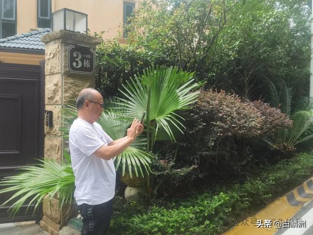 仙源人 || 田桃源：见龙洞50号：周碧华的简朴生活