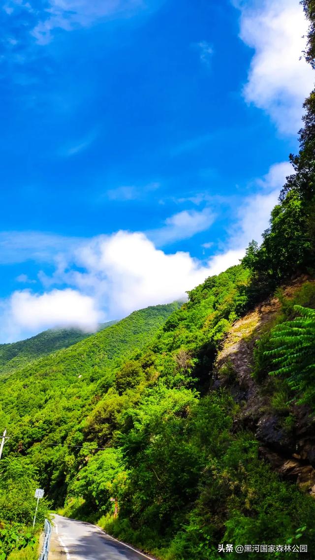 西安2h可达的这处森林公园，美的嘹咋咧！