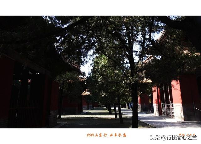 山东行游影记（214）—曲阜孔庙（九）