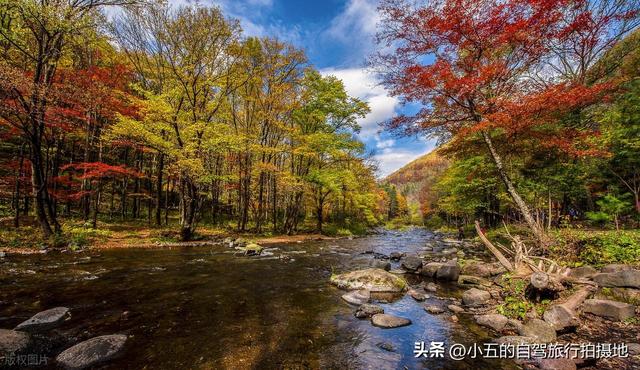9 地秋日赏秋实测攻略！附最佳时间 + 落地玩法，收藏直接走