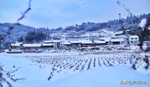 今日冬至，老人说“冷不冷，就看冬至”，今年冬天是暖冬吗？