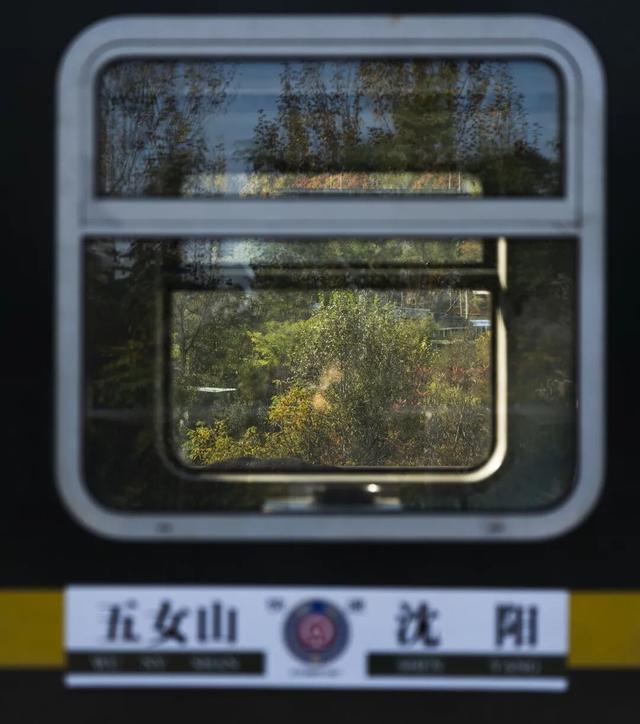 窗外是五花山！东北的这趟列车，当季要火！