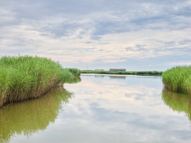 锦州东方华城湿地公园，环境优美，水鸟争鸣，是休闲散心的好去处
