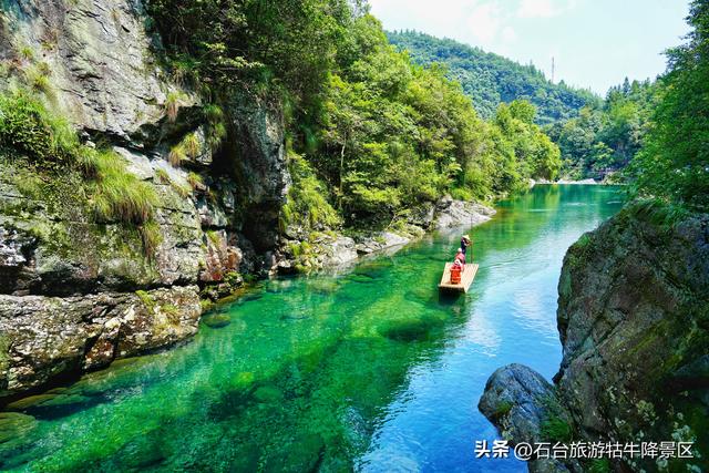 牯牛降的夏天