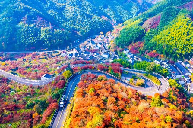 宁波四明山，成了“油画”