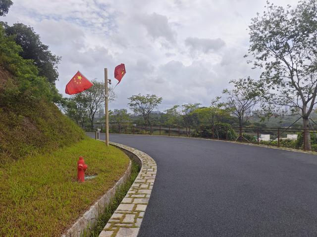 西丽湖国际科教城绿道高清随拍