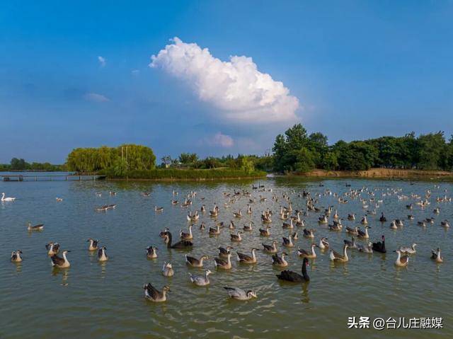 学生春假及五一去哪儿玩？台儿庄六大景区门票免费！