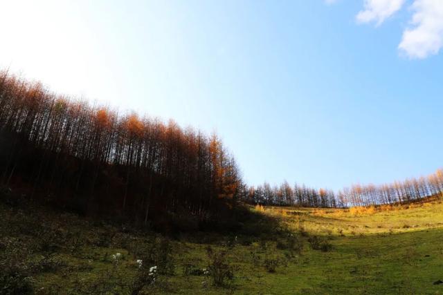 兰仓秋，染山河。