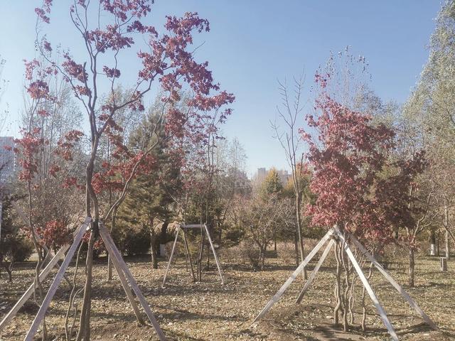 走进长春百草园 邂逅秋日秘境