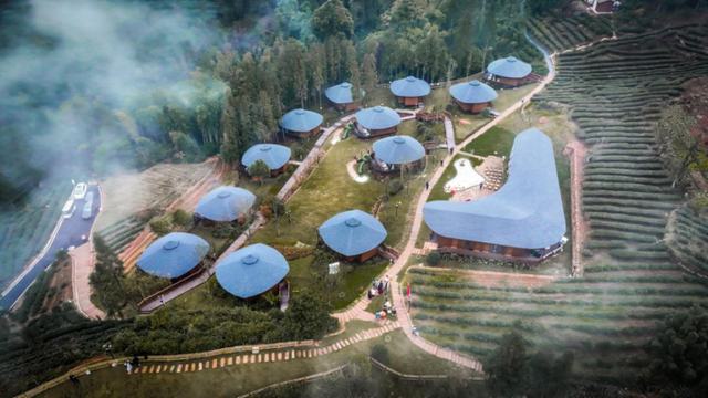 春到乐山，“香”约起来