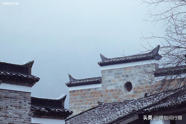 江西有座神奇的“无蚊村”，依山傍水无蚊子，樟树艾草筑天然屏障