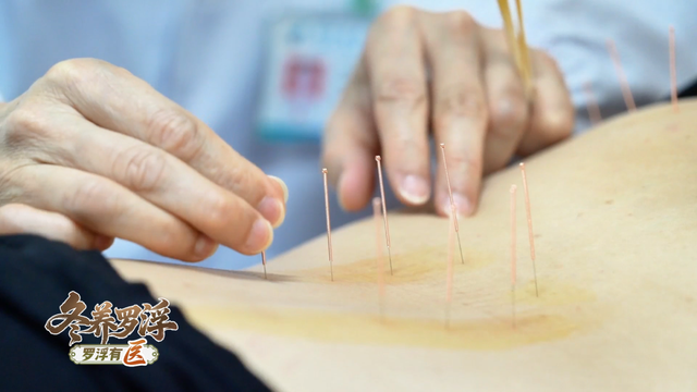 “冬养罗浮”康养品牌发布！在引领区过冬是怎样一种体验？