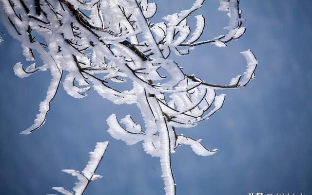 “不怕立冬雨，就怕立冬晴”今日立冬，晴天有啥怕的？看老人咋说
