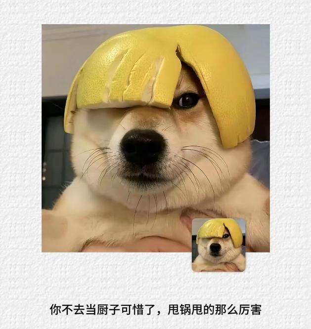 适合发朋友圈的搞笑句子。