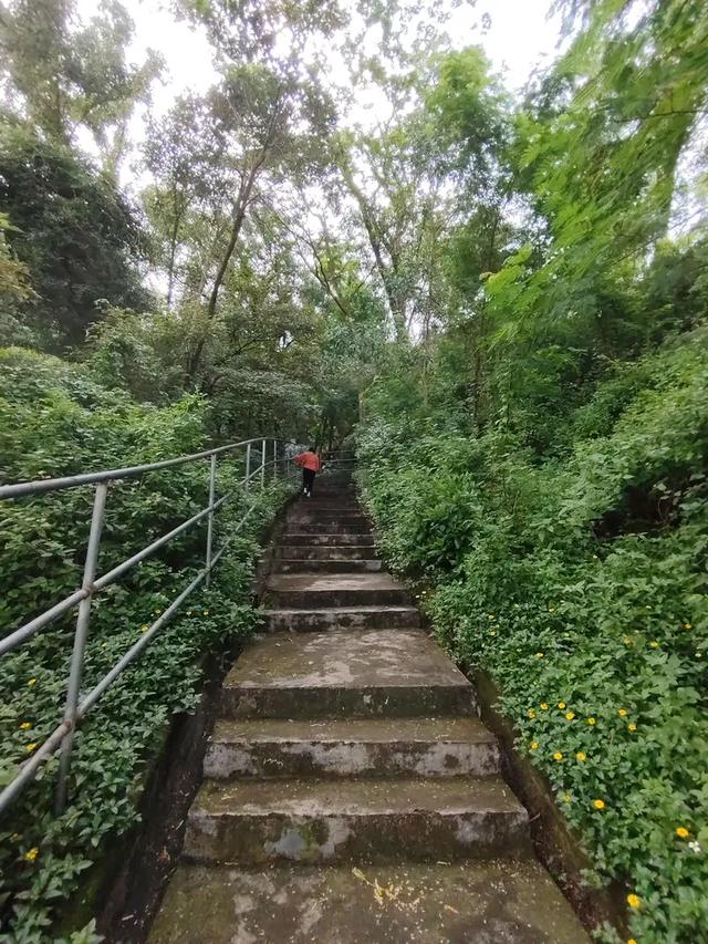 曾腾芳：在珠海登将军山