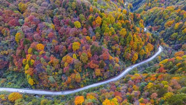 来洋县华阳!赴一场秋日之约~