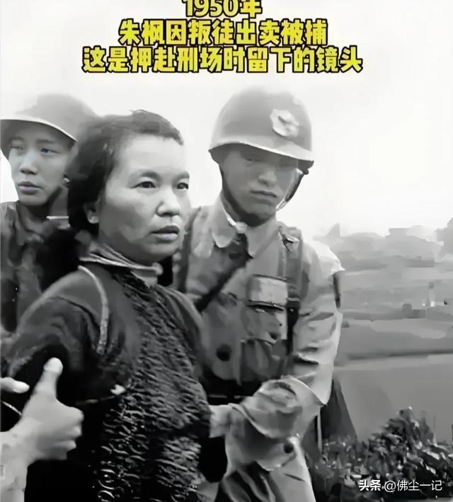 朱枫舍命守护，让他逃过一劫，躲过了蔡孝乾的叛变之难！