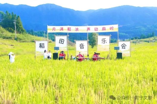 41.52万人次疯玩！超3亿元收入！周宁双节你参与了吗？