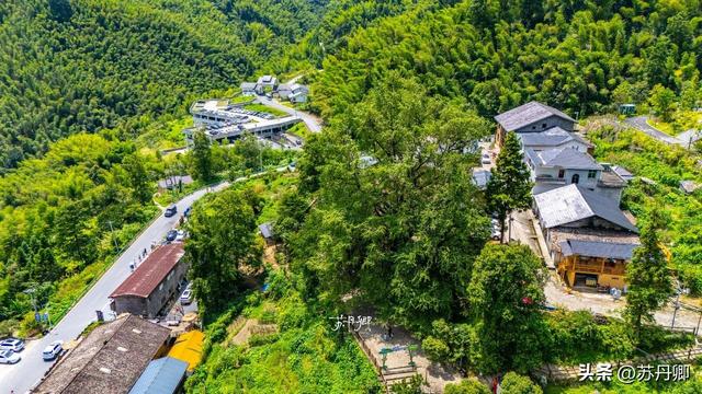 江西文旅为什么不宣传明月山？藏有世界罕见温泉，还有千年古银杏