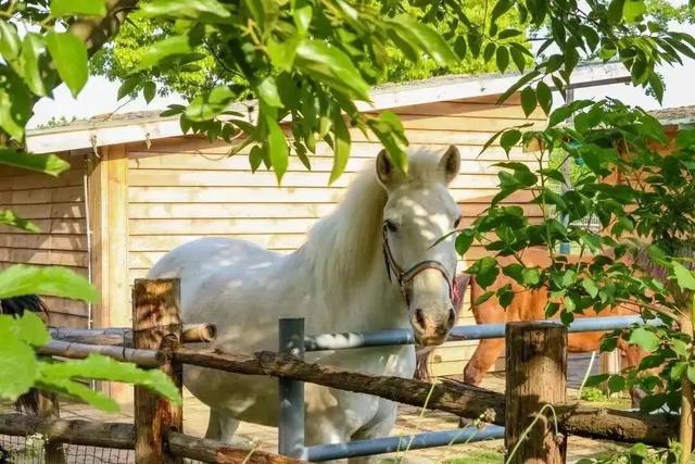 初冬逛沪郊！奉贤、崇明限时优惠来啦
