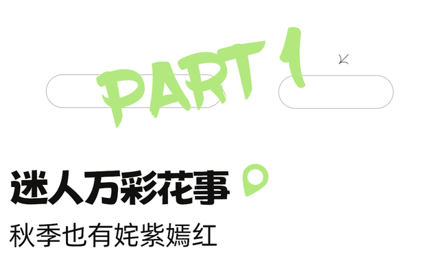 地铁直达！美爆！成都8个秋日限定美景上新！实拍免费，抓紧时间冲！