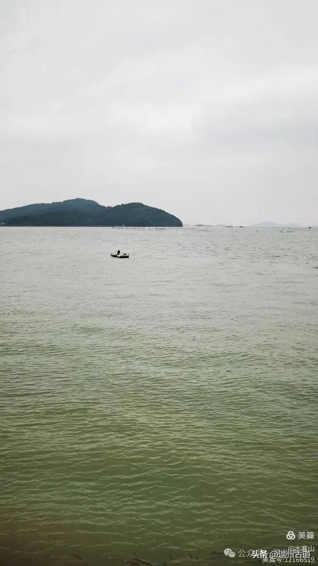 浙江这个山海古村，处在网红风景线上，丛林秘境中藏着一片花海