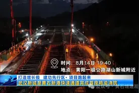 好消息！事关黄石⇄武汉快速路！这一高架桥、下穿隧道有新进展图片