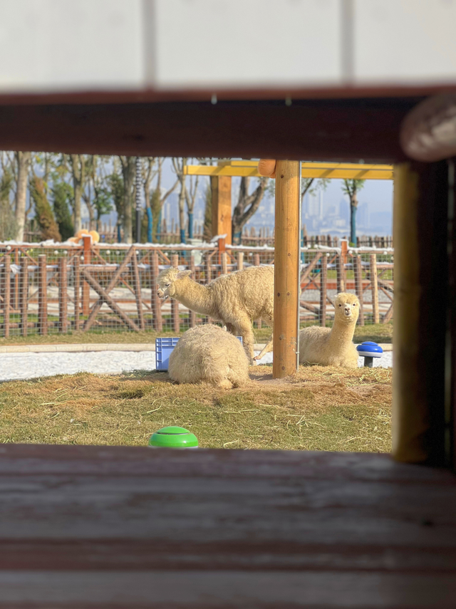 忠县这个江畔慢境，让时光都温柔了！