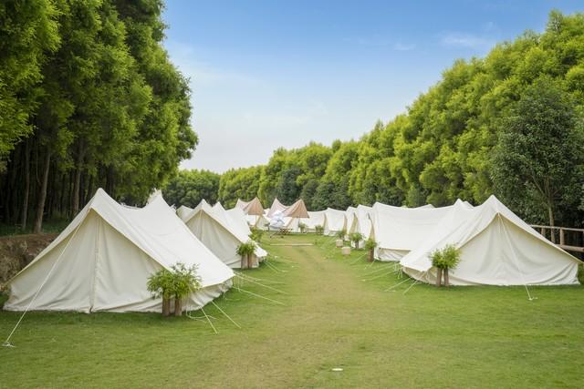 姐夫非要卖车搞“露营基地”，姐姐说他被抖音洗了脑
