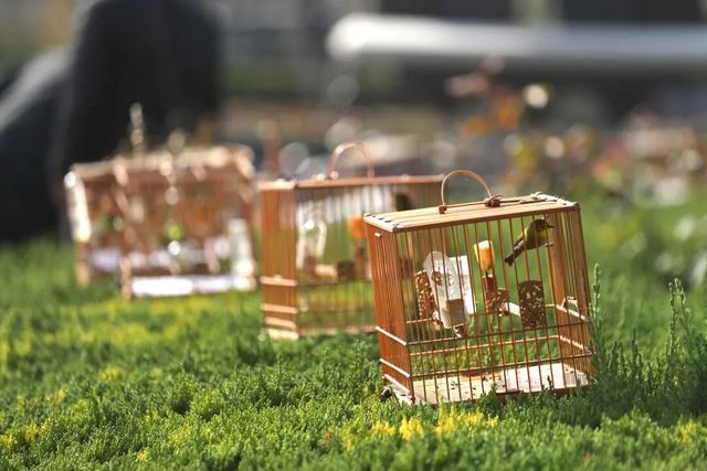 听劝，冬天在开封，还能这样玩！