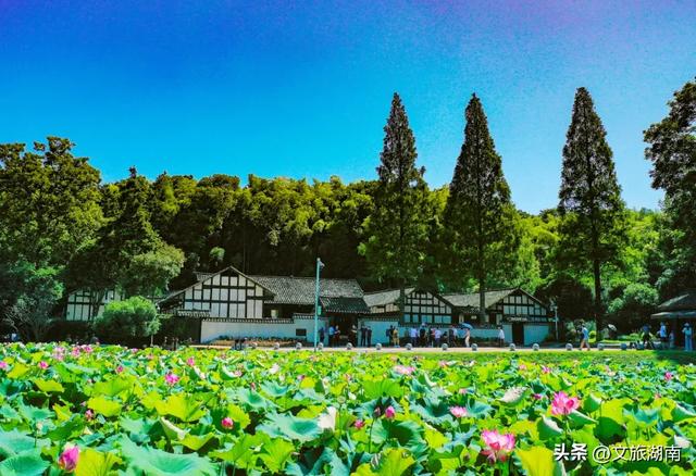 长沙VS益阳,建议先嗑美食和风景