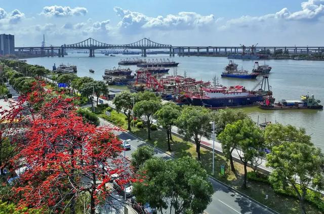 岭南水乡的双生花:东莞沙田与南沙东涌的时空对话