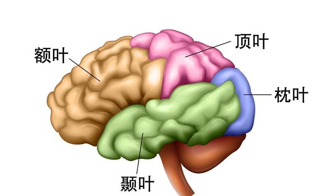 手机立大功！医生发现：经常玩手机的老年人，或会有这8大好处
