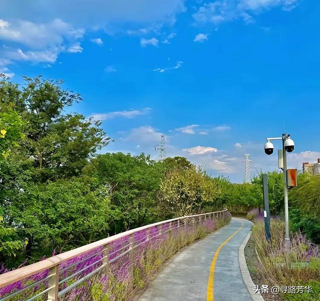 徘徊亦留恋的濑溪河畔